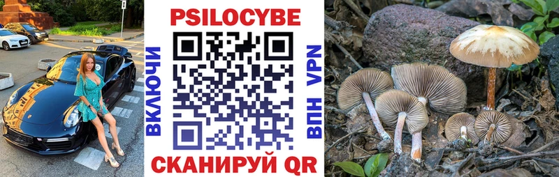 где найти Безенчук OMG зеркало Галлюциногенные грибы Magic Shrooms